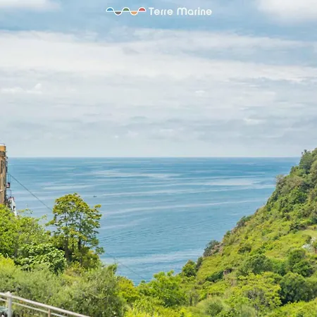 Life, Terremarine * Corniglia