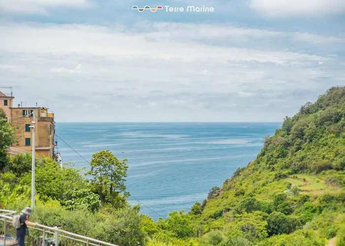 Life, Terremarine * Corniglia